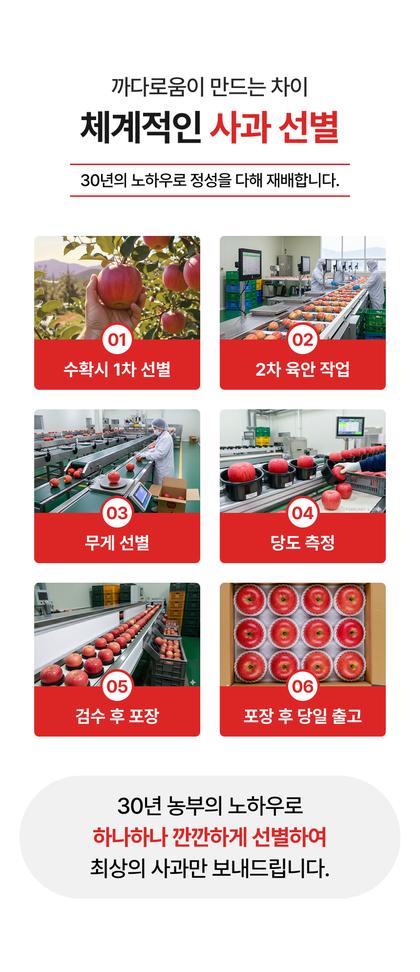 07_재배과정 생산과정_15.jpg